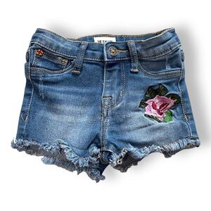 Hudson Baby Distressed Floral Embroidered Denim Shorts Size 12 months